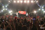 X japan concert