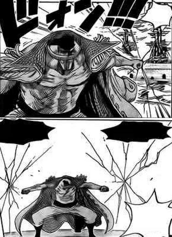 Tremor Tremor Fruit Viz Fairy One Piece Tail Wiki Fandom