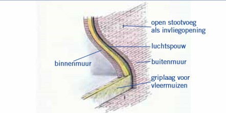 Vleermuisvriendelijk bouwen