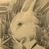 Mr rabbit icon