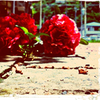 Pretended love icon