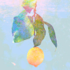 Lemon (Kenshi Yonezu) icon