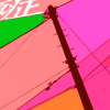 Suki Suki Zecchou Shou icon