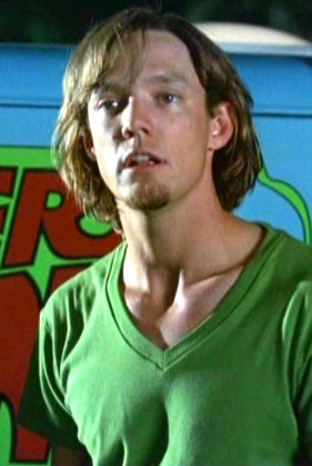 Matthew Lillard | Voice Actors from the world Wikia | Fandom