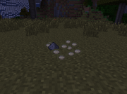GOld COins