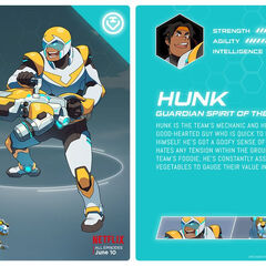 Paladin | Voltron Wiki | Fandom