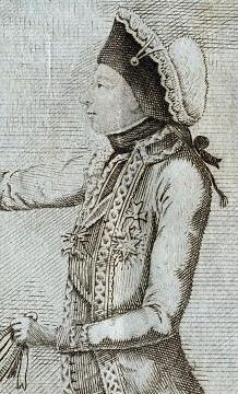 SectiePrinzCarl1796