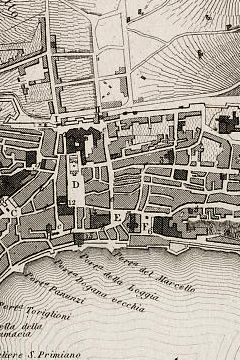 SectieAncona