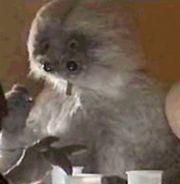Muftak