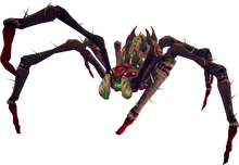 Araxxor