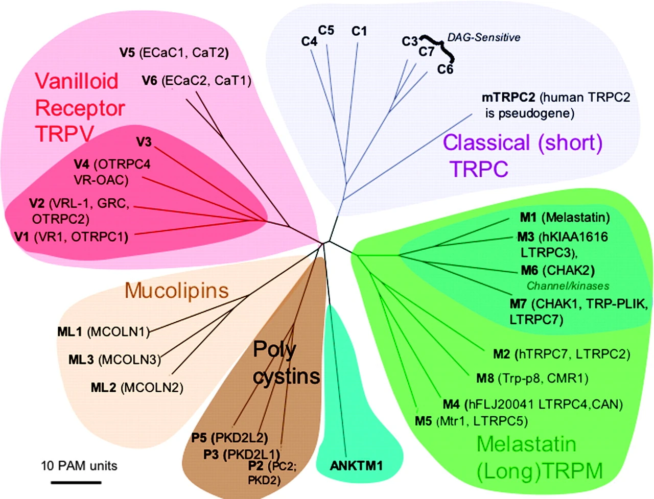 Dsa/042 VroniPlag Wiki FANDOM powered by Wikia