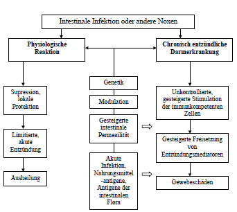 Wiki vroniplag