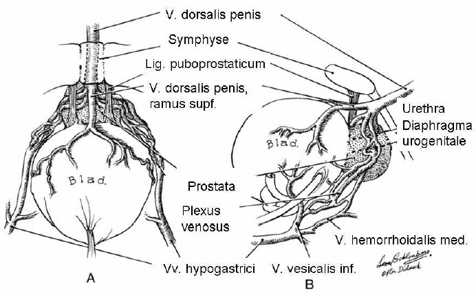 Aho/031 VroniPlag Wiki FANDOM powered by Wikia
