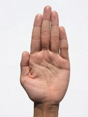 Hand-1701979 960 720