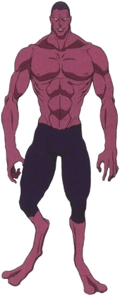 Hunter X Hunter Menthuthuyoupi (Render)