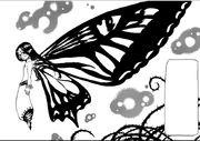 Gloxinia Gloxinia