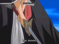 Rangiku Haineko