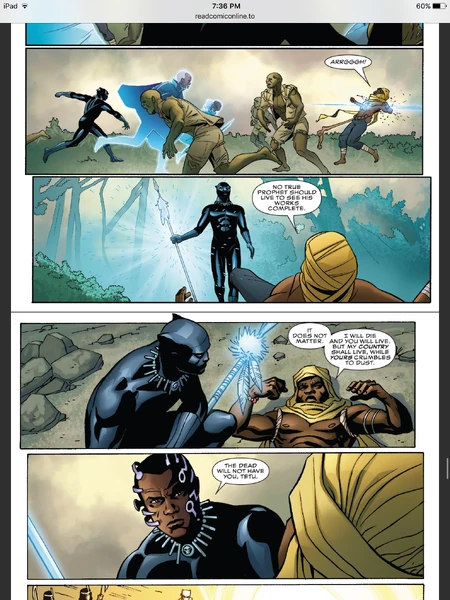 Blackpanther.png