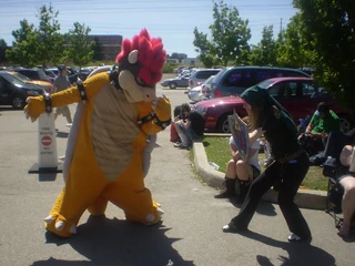 Link vs bowser Link vs bowser