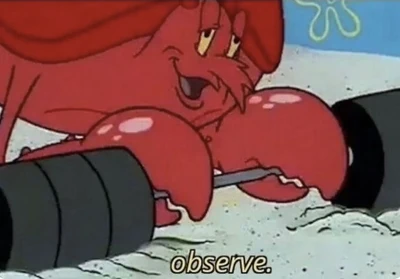 Observe larry