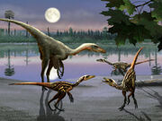 Troodon 5
