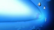 3075813-starrk shoots kyoraku 3075813-starrk shoots kyoraku