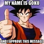 My-name-is-goku-and-i-approve-this-message