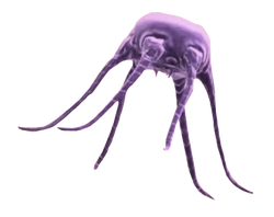 Shadow Plague 2