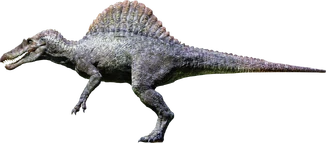 Spino