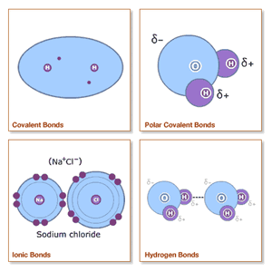Allbondingtypes-1-
