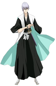 Gin ichimaru bankai