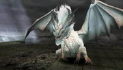 Images (27)q
