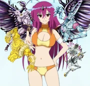 Medakars Stands Medakars Stands