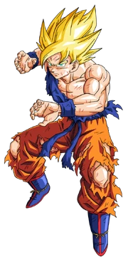 Goku nameg