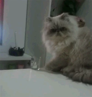 Jerkcatcup