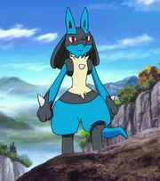 Lucario 08