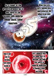 Apoptosis Apoptosis