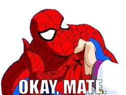 OkayMateSpider-Man