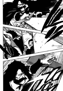 Bleach-5309541