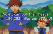 Gary oak and diglett