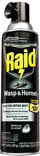 Raid wasp and hornet killer 33