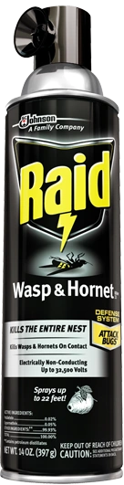 Raid wasp and hornet killer 33