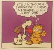 Formerlife