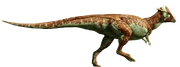 Pachycephalosaurus-detail-header