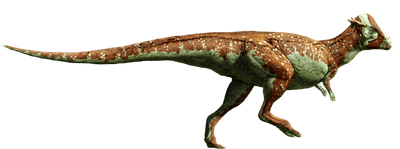 Pachycephalosaurus-detail-header