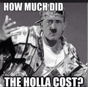 How much did the holla cost