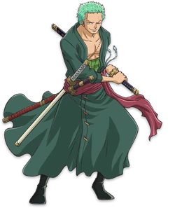 Zoro post-time skip 011