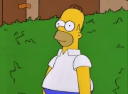 Homer.gif