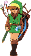 Link LOZ with items