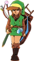 Link LOZ with items